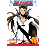 Bleach vol. 48