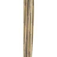 HOMESTAR Bambusovi štapovi 10 kom H 150 cm Ø 10/12 mm