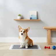 Jastučić za obuku ljubimaca, dimenzije 90 × 60 cm, jednobojni, 200 kom