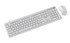 GEMBIRD Set miš i tipkovnica KBS-WPS-01 Slim Pro Business, bežično, US, bijela