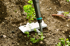 GARDENA Motika PureLine 17309-20