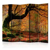 Sobna pregrada u 5 dijelova Autumn forest and leaves II 225x172