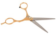 VERKGROUP Frizerske škare, 160 mm, zlatne