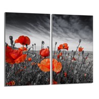 TMK Staklena zaštita za štednjak ili ploču za kuhanje iz dva dijela 30 x 52 cm, macovi
