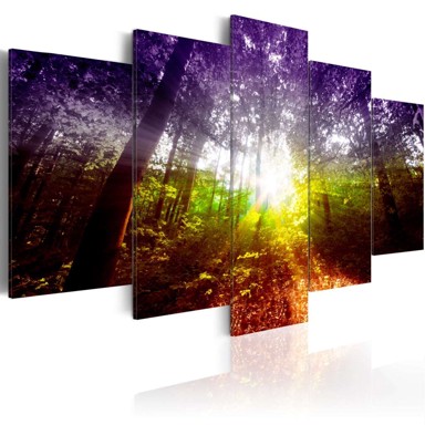 Slika Rainbow Forest 200x100