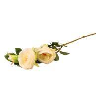 Rezano cvijeće Grana ruže, 69 cm, bijela