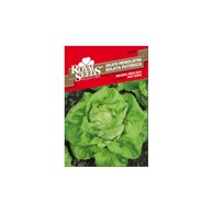 ROYAL SEEDS Sjeme povrća 87 salata majska kraljica