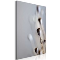 Slika Dried Poppies Vertical 80x120