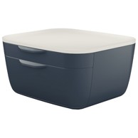 LEITZ Kutija 53570089 s 2 ladice cosy, tamnosiva