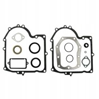 BRIGGS & STRATTON Komplet brtvi motora 494241 490525