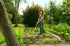GARDENA Motika PureLine 17309-20