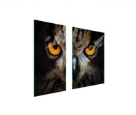 TMK Staklena zaštita za štednjak ili ploču za kuhanje 75x52, owl