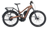 GIANT Električni bicikl Stormguard E+ 1, 25 km/h, Hematite, crna