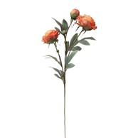 Rezano cvijeće Grana božur 69 cm, narančasta