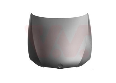 VAN WEZEL Hauba BMW 3 E90 05-12, 06-10 Coupe E92