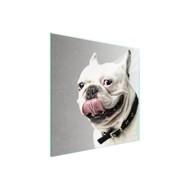TMK ARTDEKO staklena zaštitna ploča za štednjak 50 x 52 cm, motiv Led