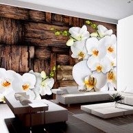 Foto tapeta Blooming orchids 250x175