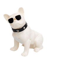 SAL Bežični zvučnik BT DOG