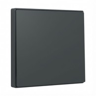 GIRA Prekidač 329628 Wippe System 55, antracit