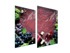 TMK Staklena zaštita za štednjak ili ploču za kuhanje iz dva dijela 35x52, vino
