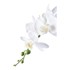 HOUSE NORDIC Umjetna biljka Orchid, visina 47 cm  