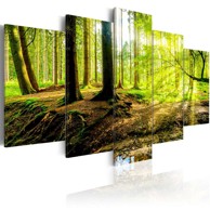 Slika Poetry of a Forest 100x50
