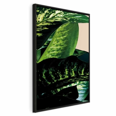 Slika Dieffenbachia, jednodijelna, okomita, 80x120 cm