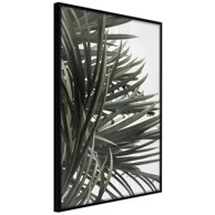 Poster Little Tropics 30x45