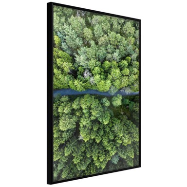 Poster Forest from a Bird's Eye View 40x60