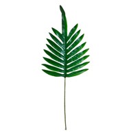 Rezano cvijeće Grana paprat 78 cm