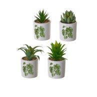 CASA SELECCION Umjetne biljke u setu 4 kom Cactus