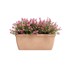 GARDEN PLEASURE Tegla za cvijeće 100 cm Salvia, plastika, prirodna