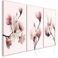 Slika Spring Magnolias (iz tri dijela) 60x30