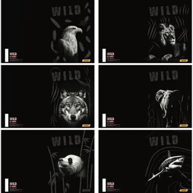 TARGET Set bilježnica, Animal Wild, A4, kvadratići, meki uvez, 54 lista, 10 kom