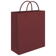 FORNAX Ukrasne vrećice, sjajna plastifikacija, 24 x 39 x 9 cm, sorto