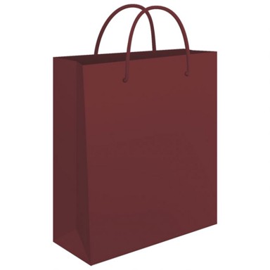 FORNAX Ukrasne vrećice, sjajna plastifikacija, 24 x 39 x 9 cm, sorto