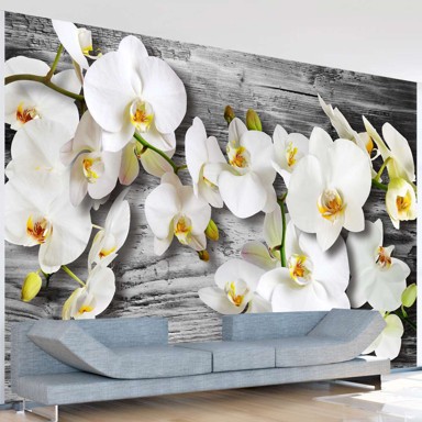 Foto tapeta Callous orchids III 100x70