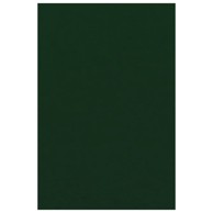 KNORR PRANDELL Filc ukrasni A4 10 kom tamnozeleni