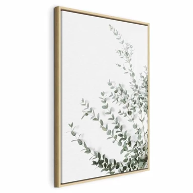 Slika Eucalyptus Parvifolia, jednodijelna, okomita, 40x60 cm