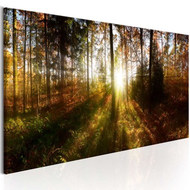 Slika Beautiful Forest 150x50
