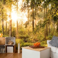 Samoljepljiva foto tapeta Mystic of the Morning 196x140