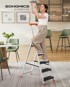 SONGMICS Sklopive ljestve s 5 stepenica, 46 x 100 x 164 cm, crne