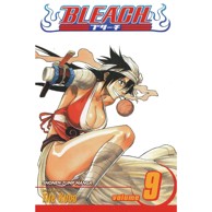Bleach vol. 9