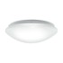 LED Stropna svjetiljka Leon, C, 24W, 4000K, IP44