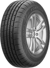 FORTUNE FITCLIME FSR-401 205/55R17 95W XL, cjelogodišnje gume