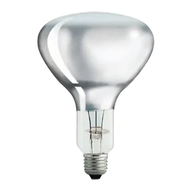 PHILIPS Reflektor žarulja e27 300w r125 clear