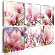 Slika Southern magnolias 60x40