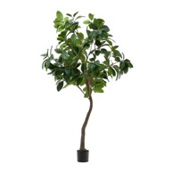 KAVE HOME Umjetni fikus Ficus, visina 210 cm