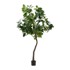 KAVE HOME Umjetni fikus Ficus, visina 210 cm  
