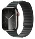APPLE Remen Evergreen Magnetic Link 45mm, M/L 